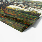 Angel Oak Tree 3 Wall Art