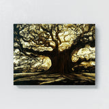 Angel Oak Tree 5 Wall Art