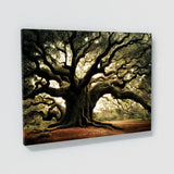 Angel Oak Tree 6 Wall Art
