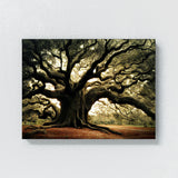 Angel Oak Tree 6 Wall Art