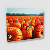 Black Cat Pumpkin 10 Wall Art