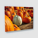 Black Cat Pumpkin 7 Wall Art
