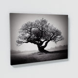 Blooming Tree 16 Wall Art