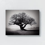 Blooming Tree 16 Wall Art