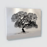 Blooming Tree 25 Wall Art