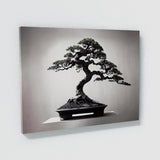 Bonsai Tree 14 Wall Art