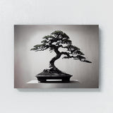 Bonsai Tree 14 Wall Art