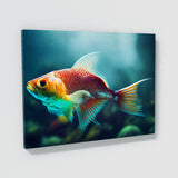 Fish 3 Wall Art