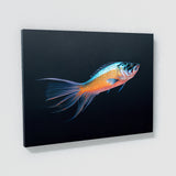 Fish 7 Wall Art