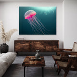 Jellyfish 12 Wall Art
