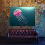 Jellyfish 12 Wall Art