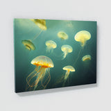Jellyfish 14 Wall Art