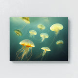 Jellyfish 14 Wall Art