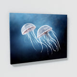 Jellyfish 16 Wall Art