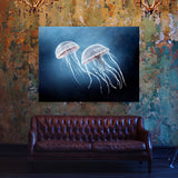 Jellyfish 16 Wall Art