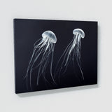 Jellyfish 19 Wall Art