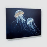 Jellyfish 2 Wall Art