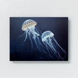 Jellyfish 2 Wall Art