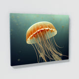 Jellyfish 8 Wall Art