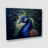 Peacock 12 Wall Art