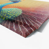Peacock 4 Wall Art
