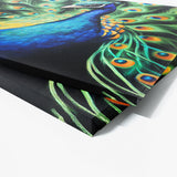 Peacock 5 Wall Art