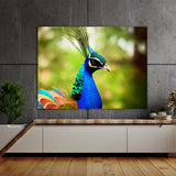Peacock 7 Wall Art
