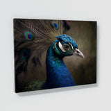 Peacock 9 Wall Art