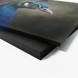 Peacock 9 Wall Art