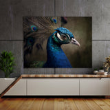 Peacock 9 Wall Art
