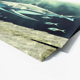 Shark 2 Wall Art