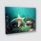 Starfish 1 Wall Art