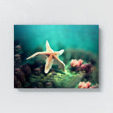 Starfish 1 Wall Art
