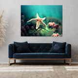 Starfish 1 Wall Art