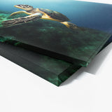 Turtle 10 Wall Art