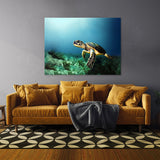 Turtle 10 Wall Art