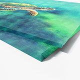 Turtle 12 Wall Art