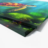 Turtle 5 Wall Art