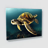 Turtle 6 Wall Art