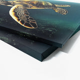 Turtle 6 Wall Art