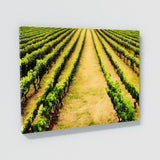 Wine 54 Wall Art