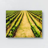 Wine 54 Wall Art