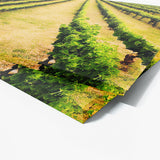 Wine 54 Wall Art