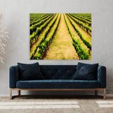 Wine 54 Wall Art