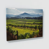Wine 55 Wall Art
