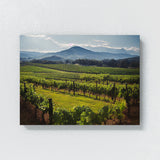 Wine 55 Wall Art