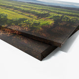 Wine 55 Wall Art