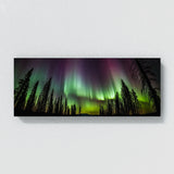 Aurora Borealis Close Up Photo 52 Wall Art