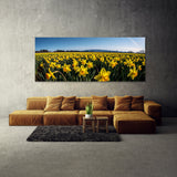 Flower Beautiful Daffodils 13 Wall Art