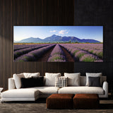 Flower Beautiful Lavender 15 Wall Art